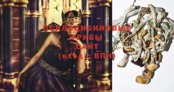 метадон Елабуга