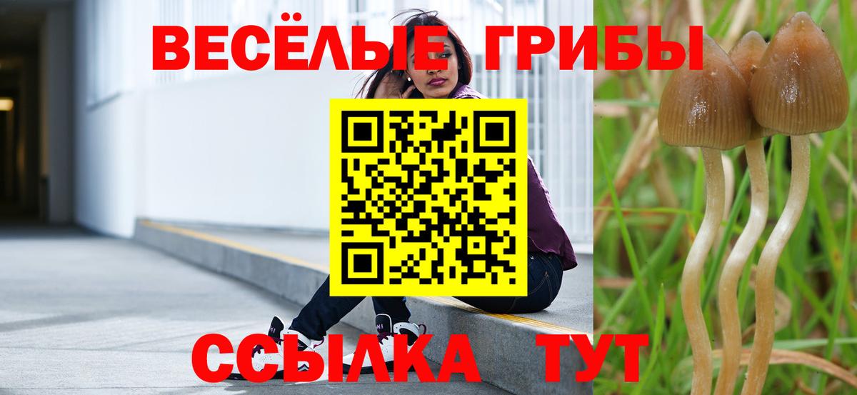 Галлюциногенные грибы ЛСД  Вход с VPN  Кимры 